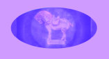 12092901_short_history_of_slipper_chair001028.jpg
