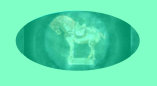 12092901_short_history_of_slipper_chair001029.jpg